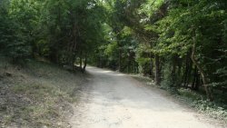 Дорога к Замку