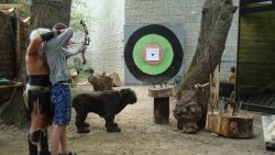 Стрельба из лука